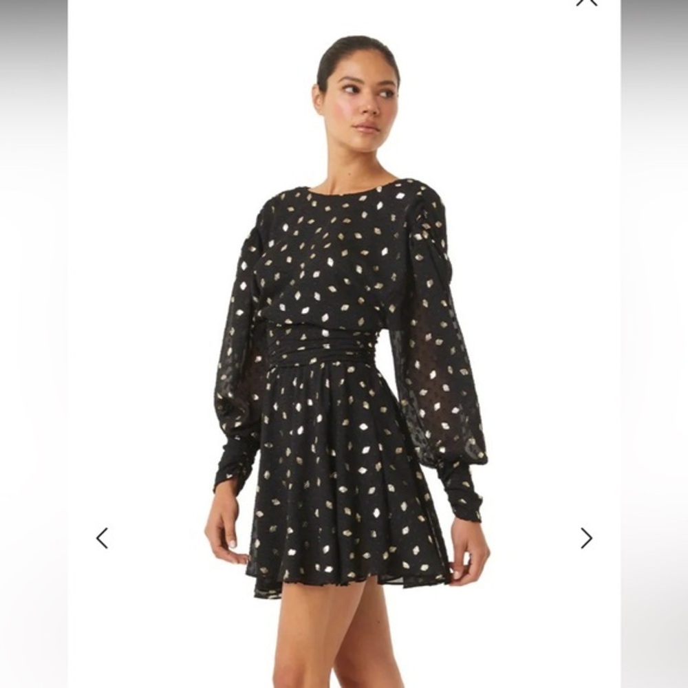 MISA Los Angeles Davie Ruched Metallic Chiffon Mini Dress (2 way wear)